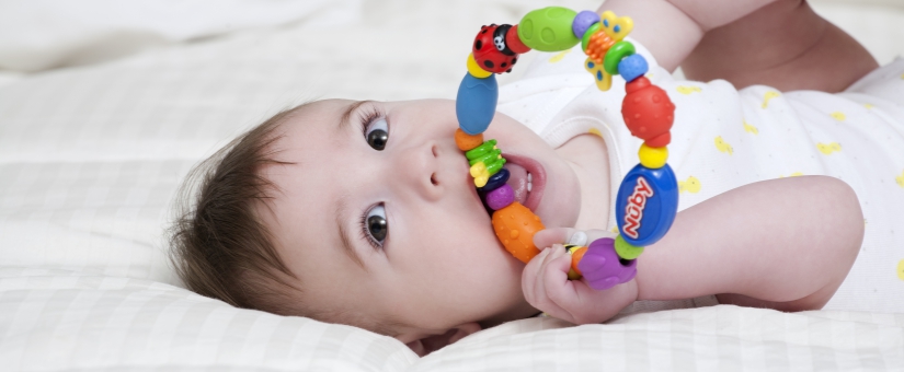מוצרי תינוקות נשכנים: מיטב הנשכנים לתינוקות ופעוטות